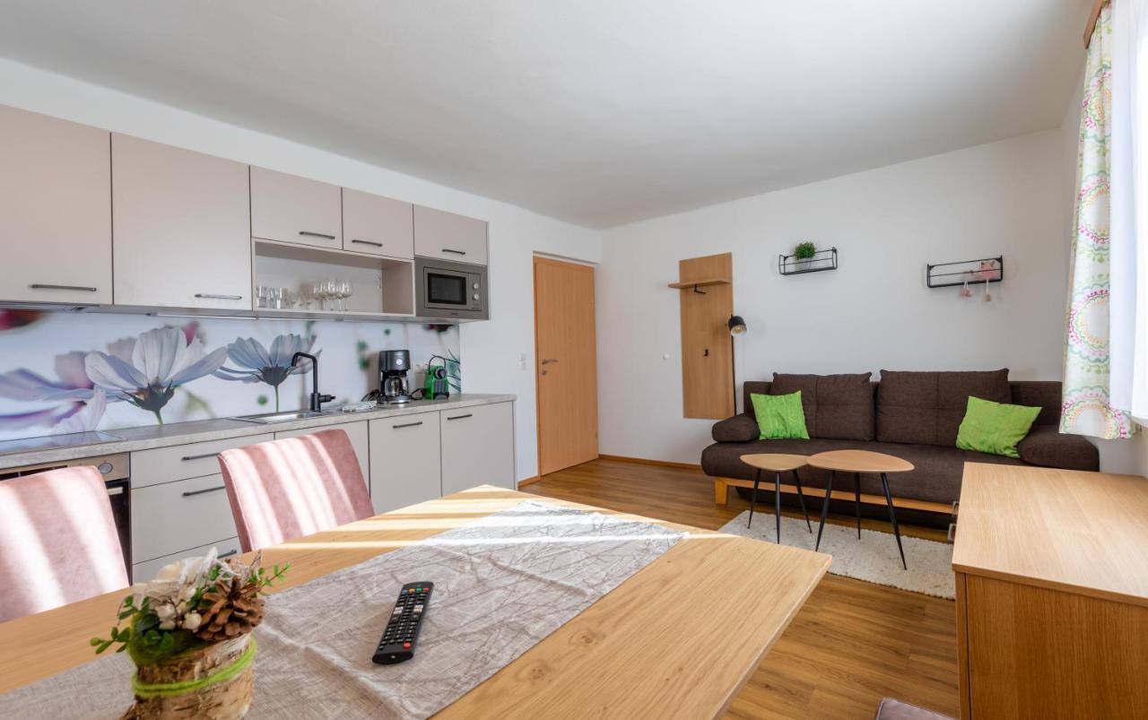 Haus Pitzer/Apartments Troicher Schladming Eksteriør bilde